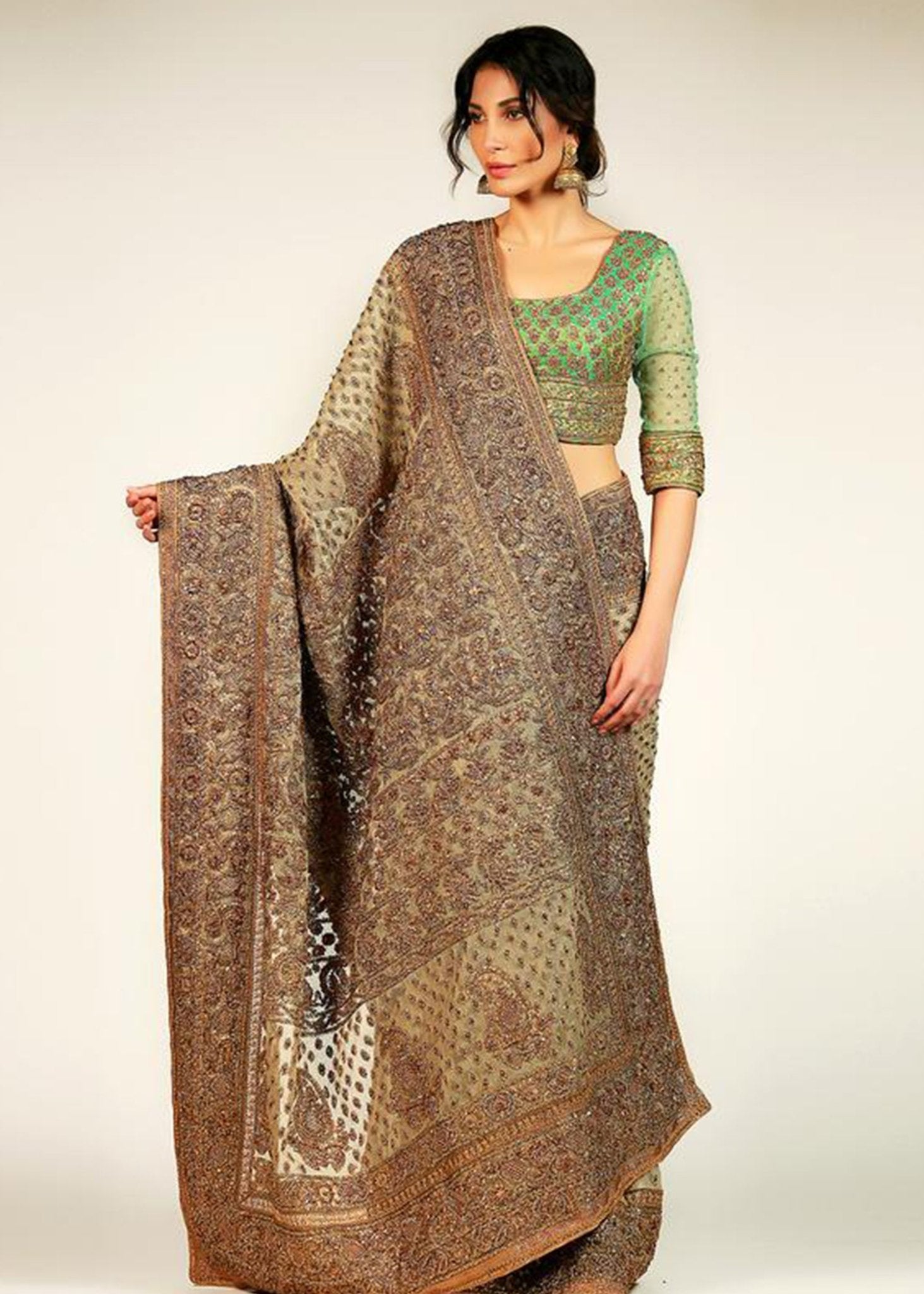 Chaman Aree Work Saree - Rizwan Beyg Design